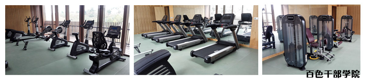 学校健身器材-广西壹号娱乐体育健身器材有限公司