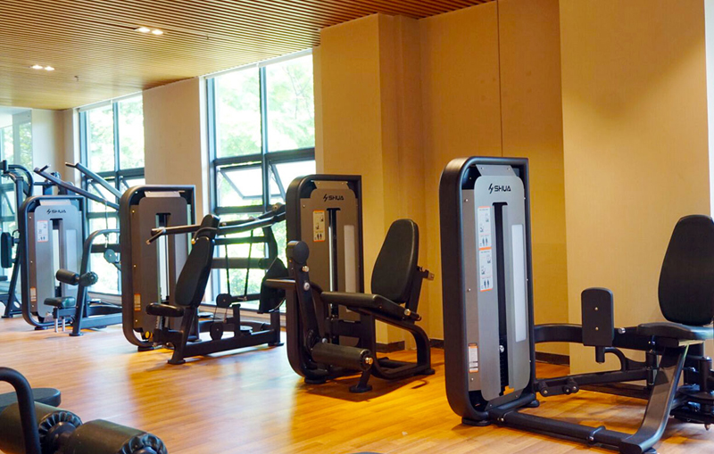 酒店健身房器材,高端健身房器材,室内健身器材-广西壹号娱乐体育健身器材有限公司