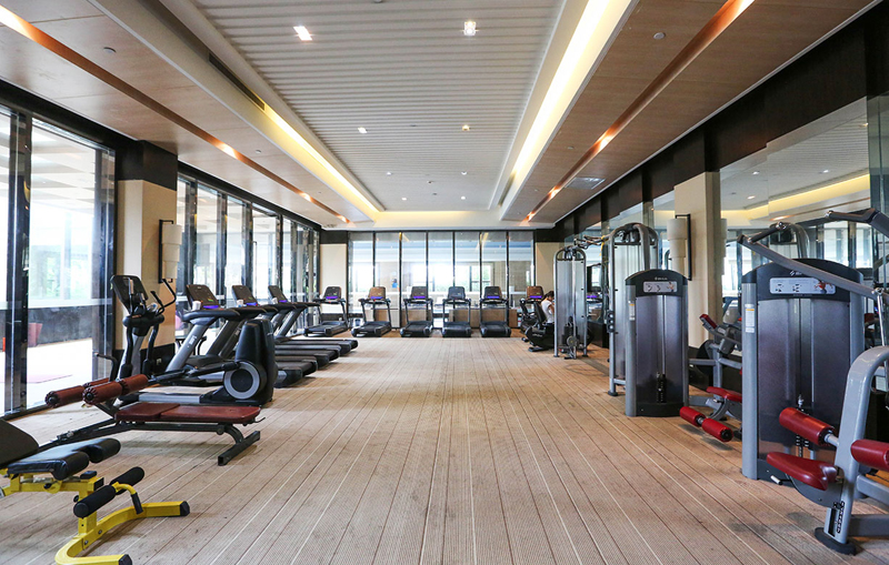 酒店健身房器材,高端健身房器材,室内健身器材-广西壹号娱乐体育健身器材有限公司