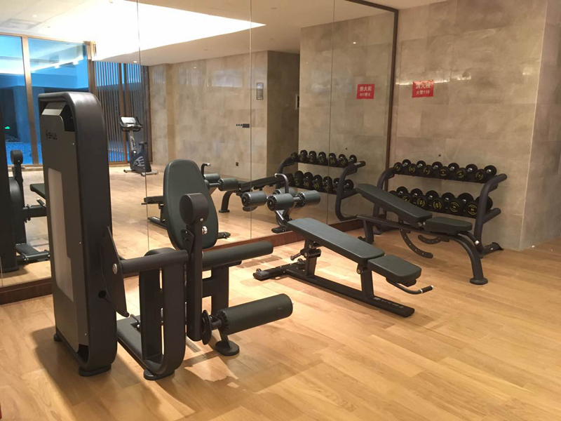 酒店健身房器材,室内健身器材,高端商用健身器材-广西壹号娱乐体育健身器材有限公司 酒店健身房器材,室内健身器材,高端商用健身器材-广西壹号娱乐体育健身器材有限公司