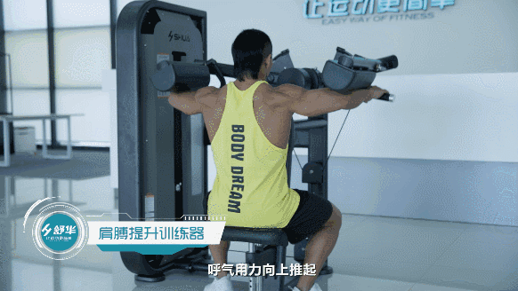 健身器材 健身器材