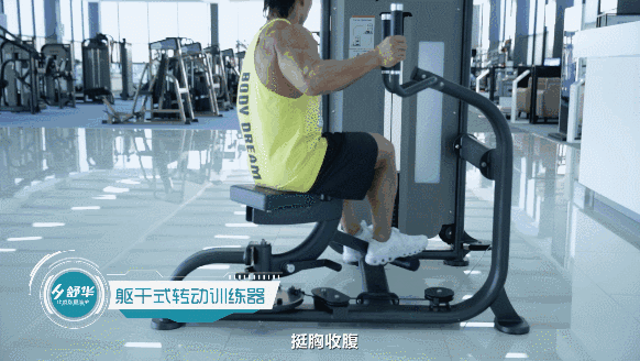 健身器材 健身器材