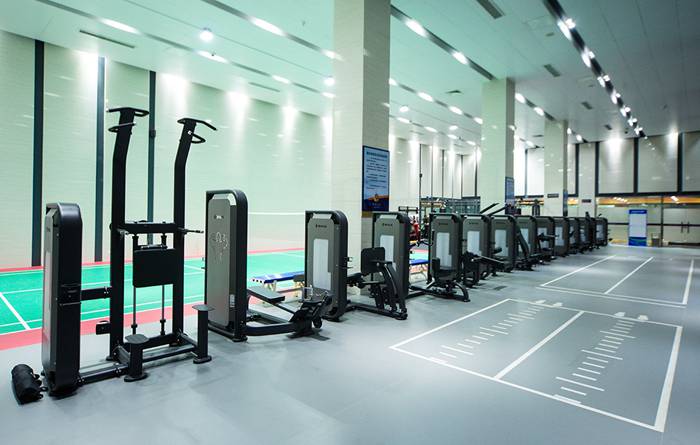 室内健身器材-力量器械系列 室内健身器材-力量器械系列