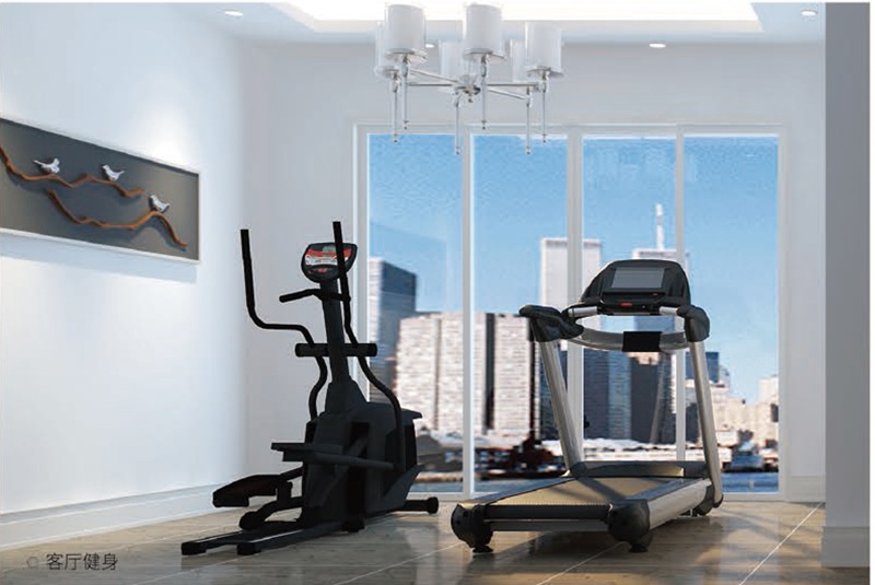 家庭健身房器材-壹号娱乐健身器材