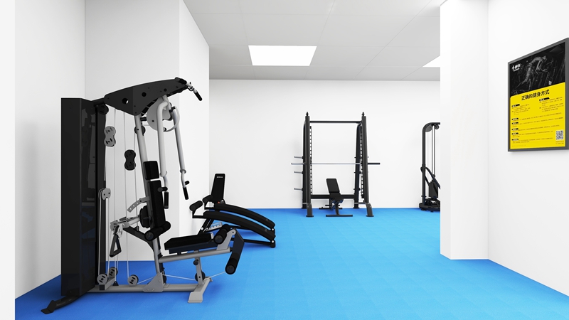 企事业单位健身房-力量器械 企事业单位健身房-力量器械