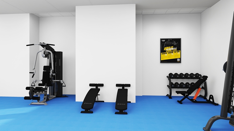 企事业单位健身房-力量器械 企事业单位健身房-力量器械